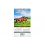 GALOP - slika 2