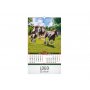 GALOP - slika 3