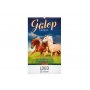 Galop - slika 1